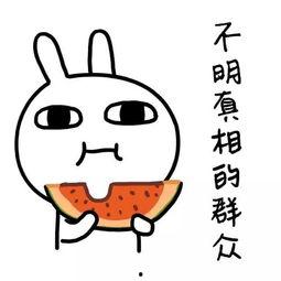 娱乐吃瓜酱吃软不吃硬,娱乐吃瓜酱的独到品味